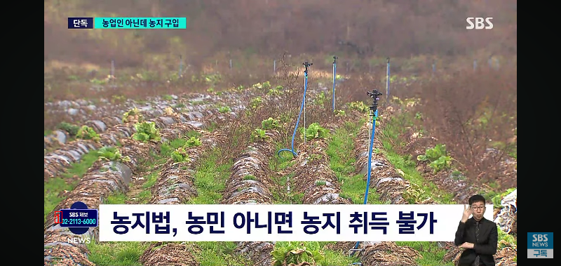 Jang Mi-ran, Vice Minister of Culture, Sports and Tourism, violated the Agricultural Law