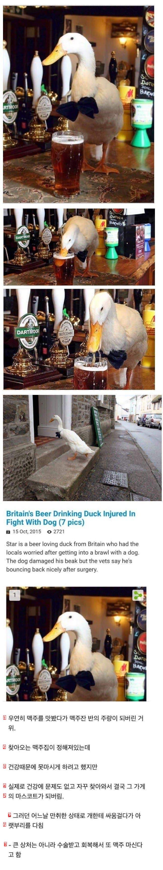 The Goose Becomes the Mascot of the Beer House