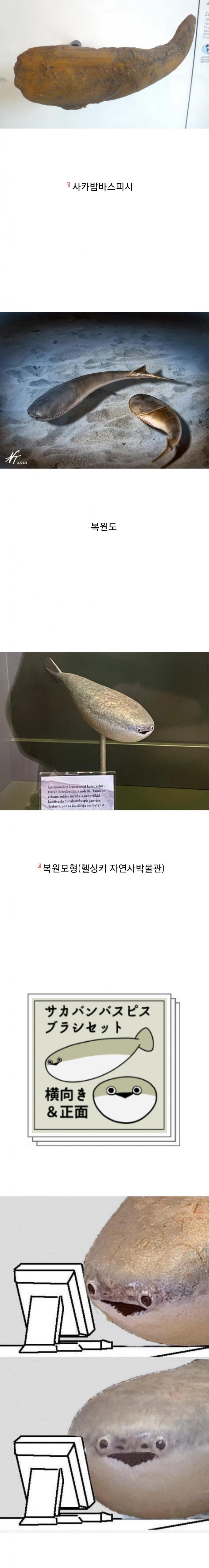 an ancient fish that existed