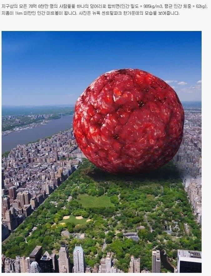 8 billion people, manden human meatballs