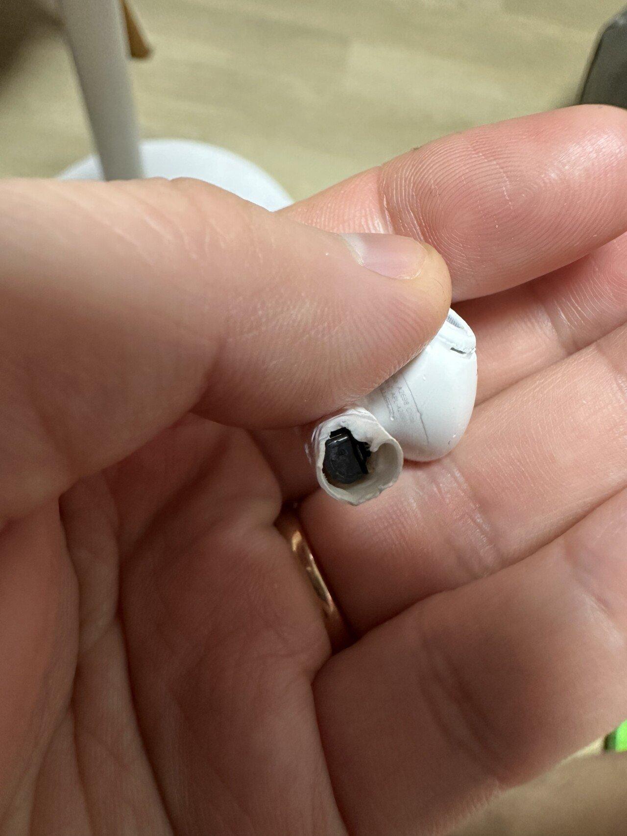 My dog bit my AirPods crying