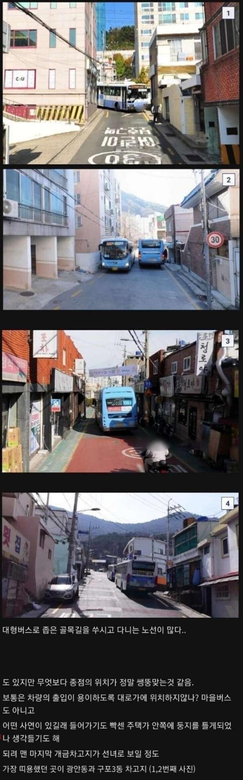 Amazing Busan Bus Characteristics