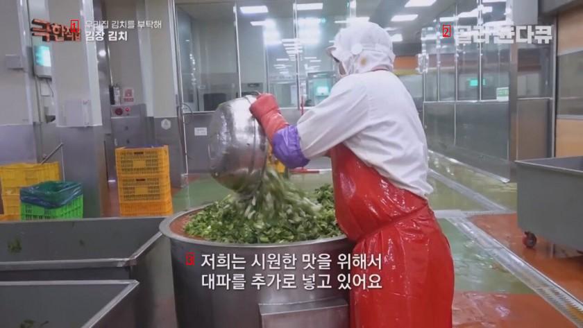Scenery of Kimchi Factory in Korea