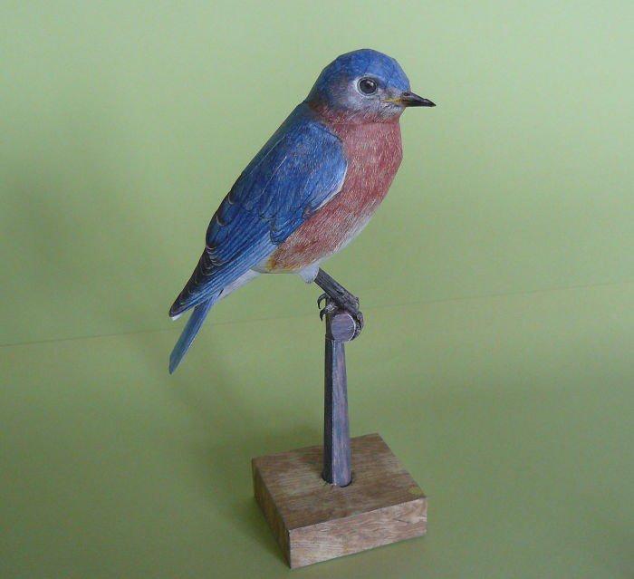 a surprisingly realistic bird made of paper