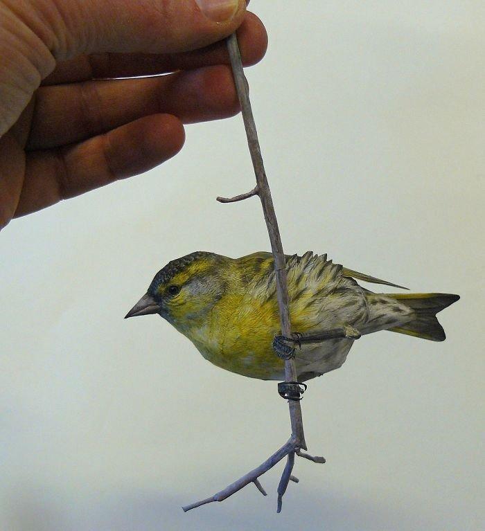 a surprisingly realistic bird made of paper