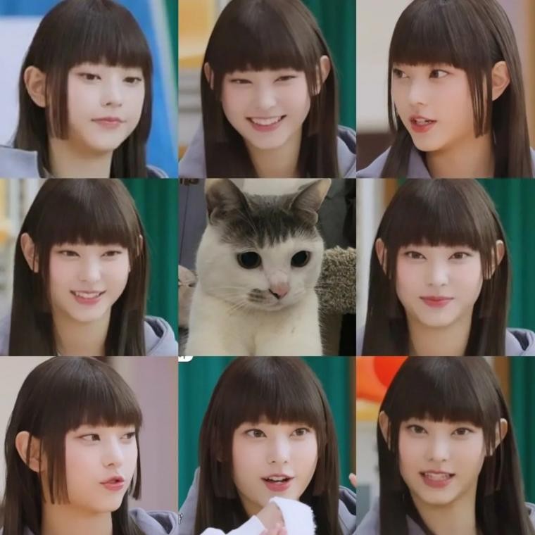 (SOUND)A cat-like idol, strong NU'EST Jins