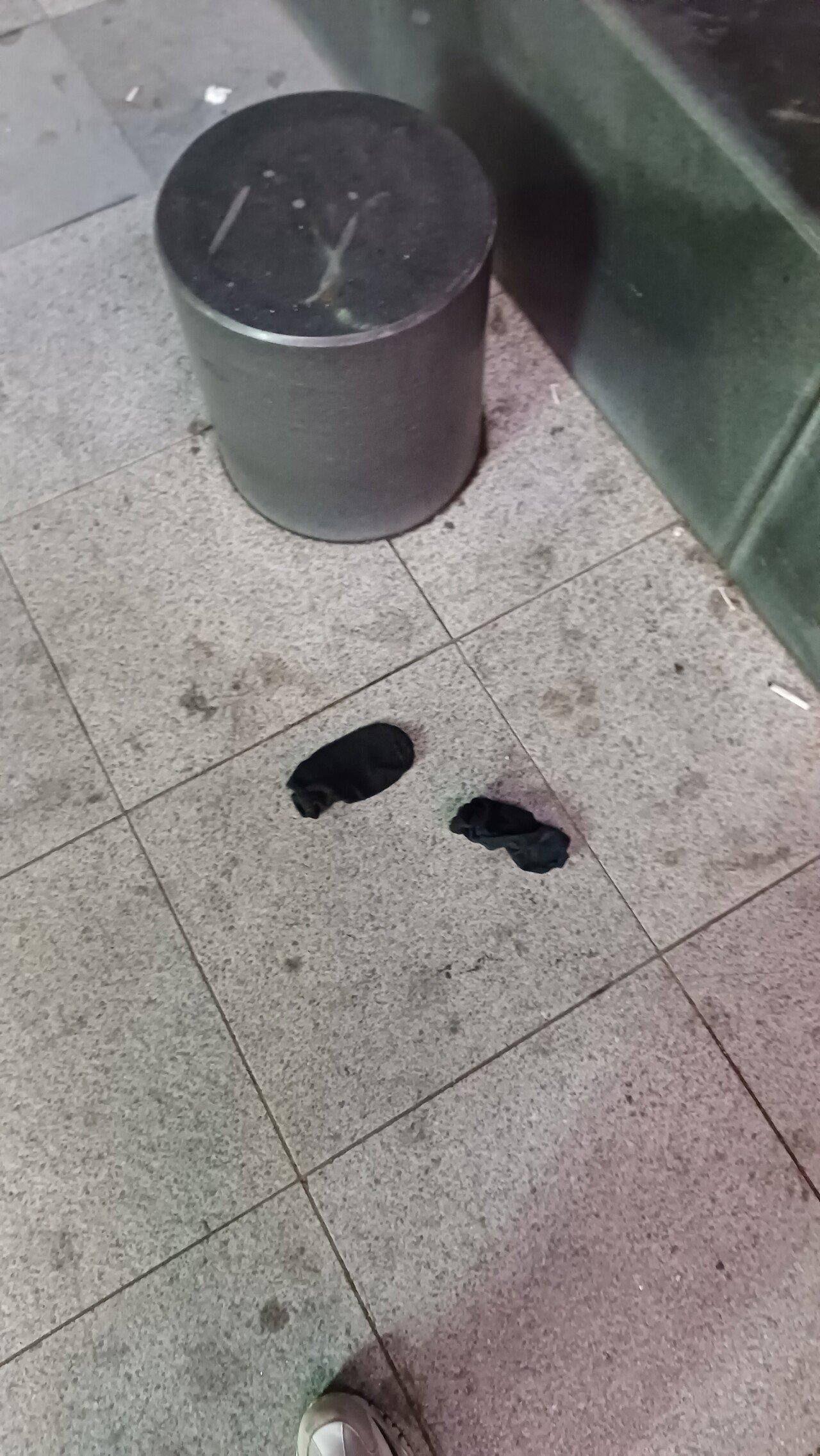 I went to a bell event and someone threw away their socks