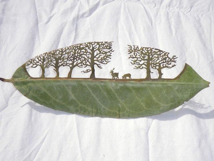 a remarkable transformation of leaves