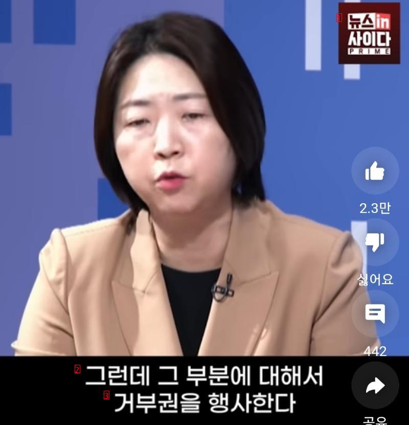 Lawyer Jang Yoon-mi's Special Prosecutor's Remarks