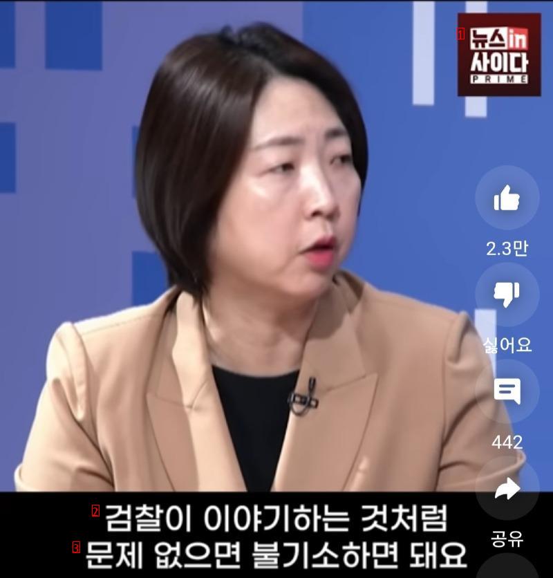 Lawyer Jang Yoon-mi's Special Prosecutor's Remarks