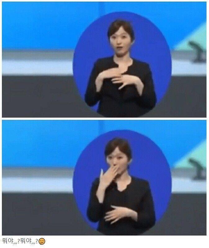 Confusing Sign Language Interpreters