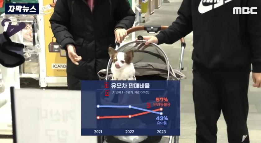 The Latest on the Korean Stroller Market