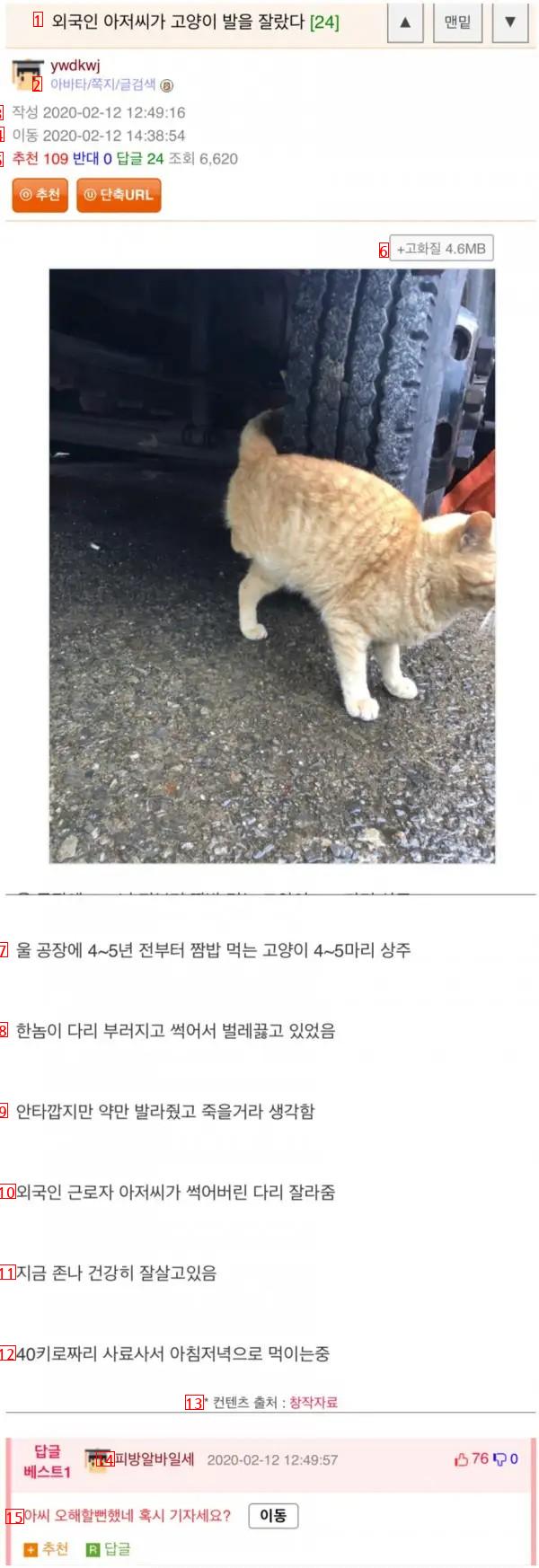 A foreigner cut a cat's foot.jpg
