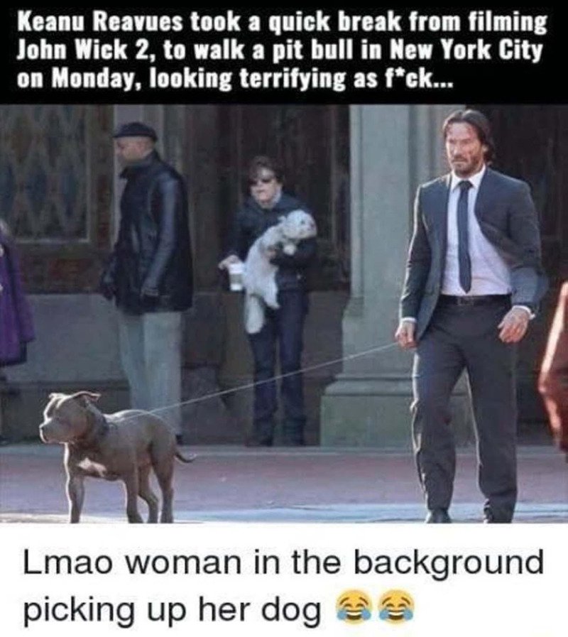 John Wick walking his dog during a break from filming John Wick