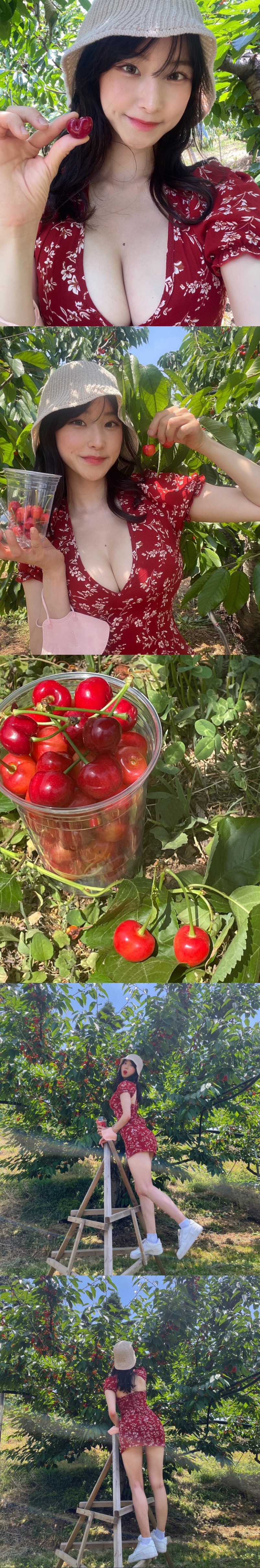 Myeongahchu picking cherries red flower dress cleavage - Instagram