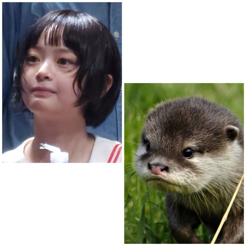 Otter Farm Farm Hani (New Genes)