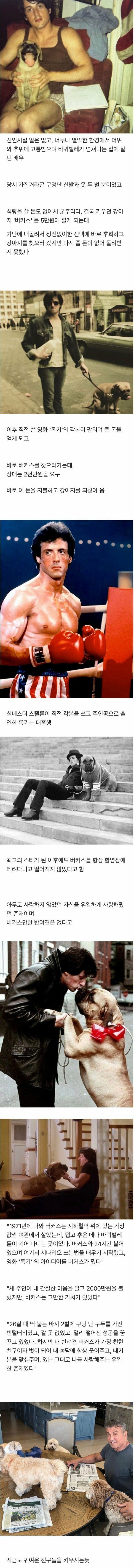 The actor sold his dog for 50,000 won because he had no money.