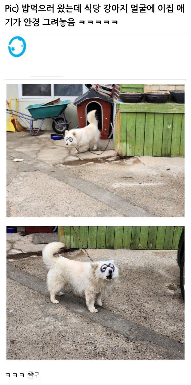 A dog with graffiti on its face.jpg