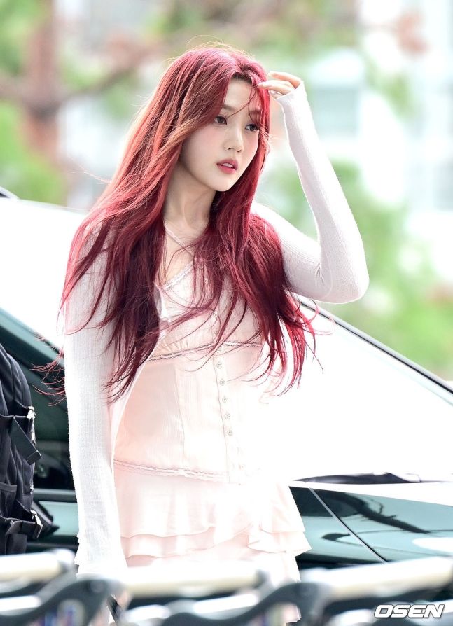 Red Velvet Joy