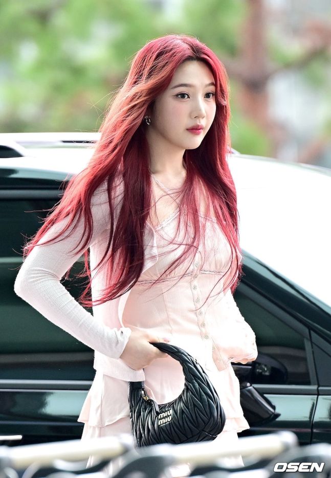 Red Velvet Joy