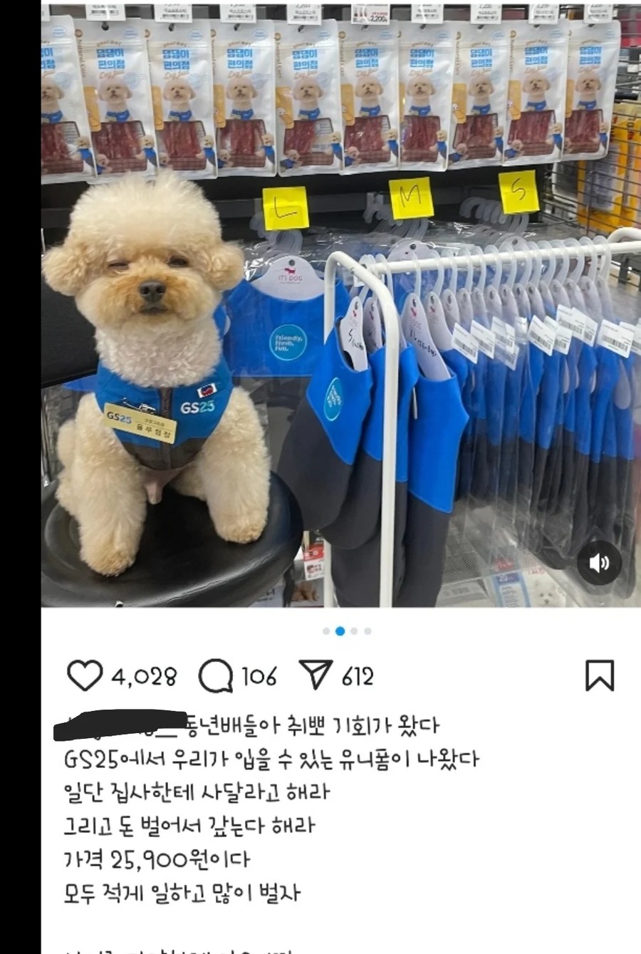 Store manager dog clothes released by GS25.jpg