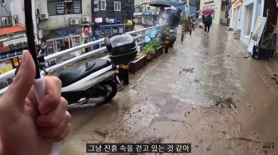 Bicycle travel YouTuber who went to Ulleungdo and was featured in the newspaper