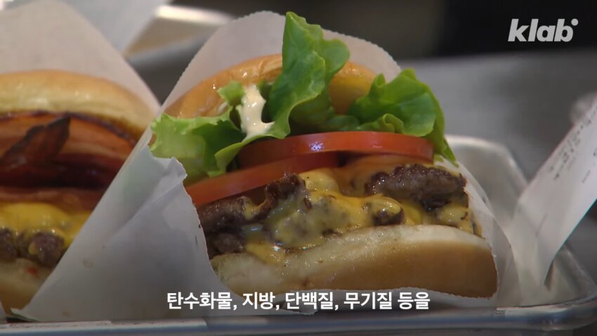 """"Hamburger, suitable as a healthy meal""""