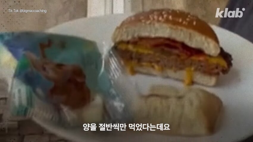 """"Hamburger, suitable as a healthy meal""""