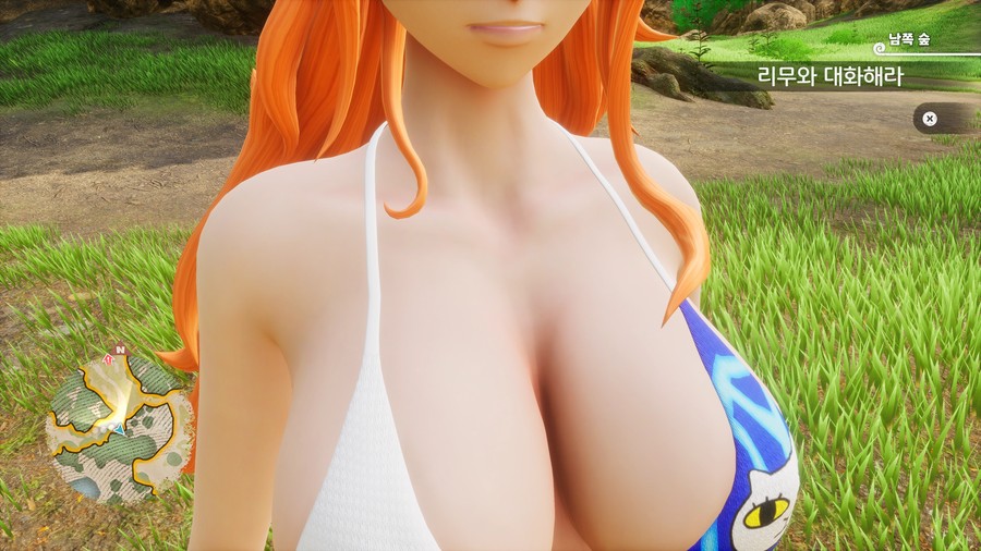 One Piece Game Nami Modeling